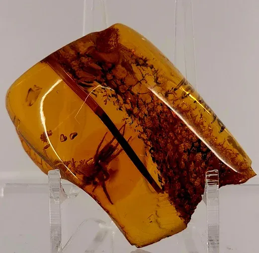 Muzeum Bursztynu. Oddział Muzeum Gdańska